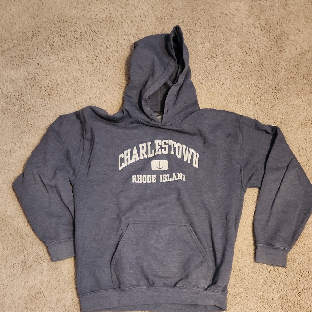 Gildan Heavy Blend Gray Hoodie